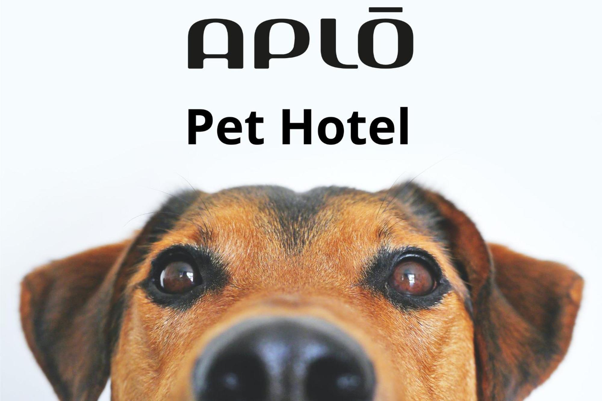 Hotel Aplo Cervia Buitenkant foto